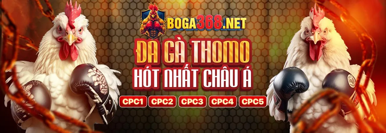 Đá Gà Trực Tuyến cbvip chính thức